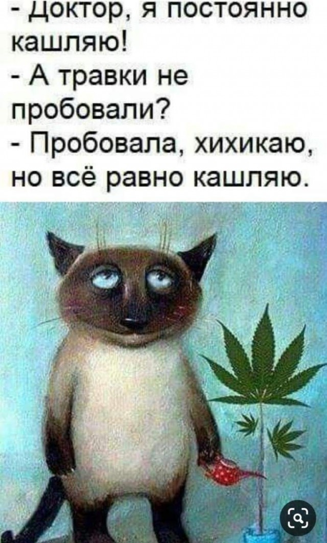 Картинки с надписями, истории и анекдоты 21.12.19