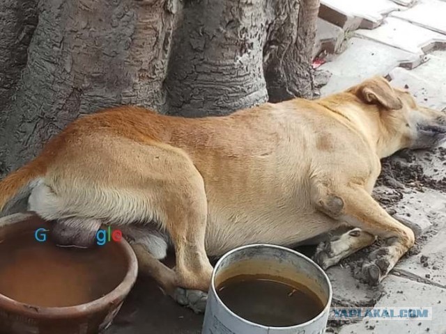 Все от нас что то требуют...