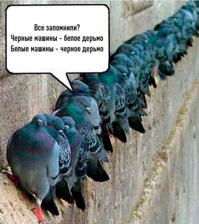 Немного картинок для настроения 22.04.20