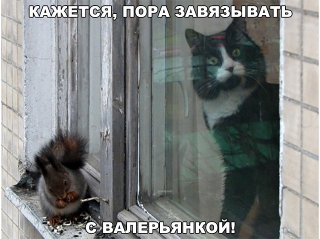 Чуток картинок 24.04.20