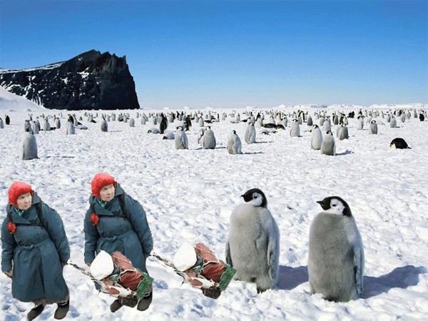 Фотожаба: Бесстрашная бабушка