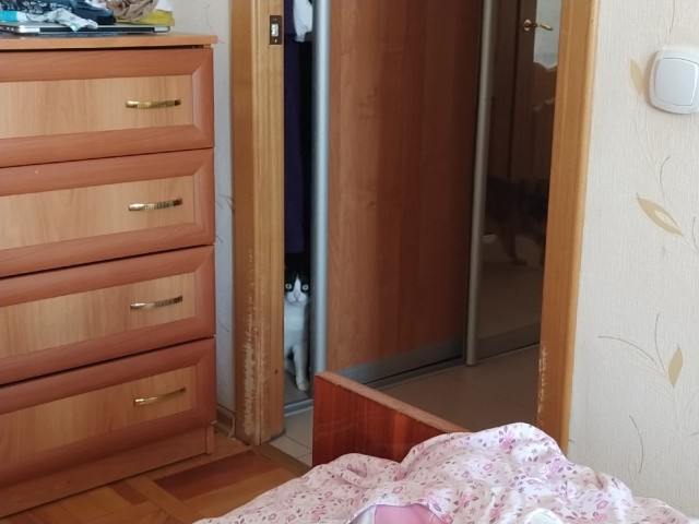Чуток картинок не про вирус 11.0