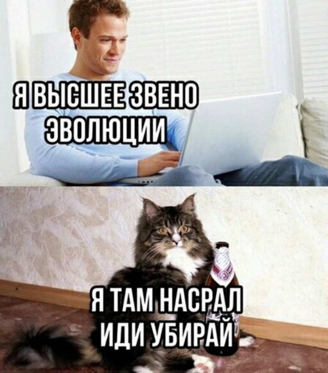Бредзона 13.05.2020