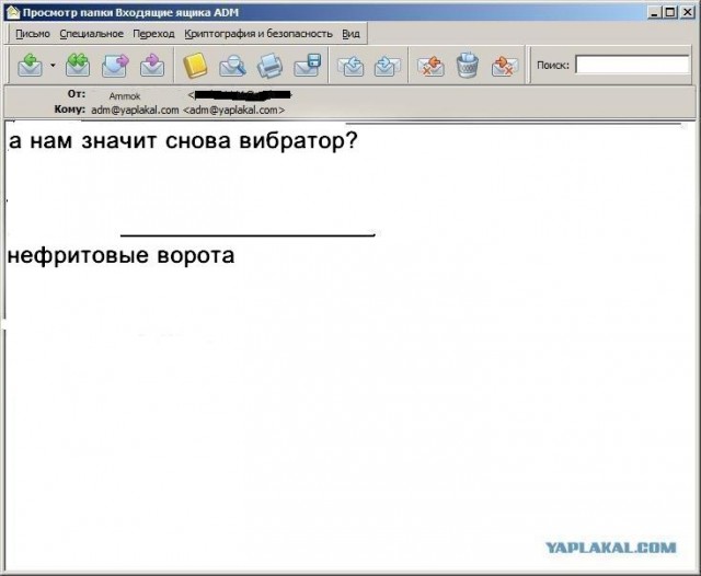 Почему меня забанили на ЯПлакалъ?
