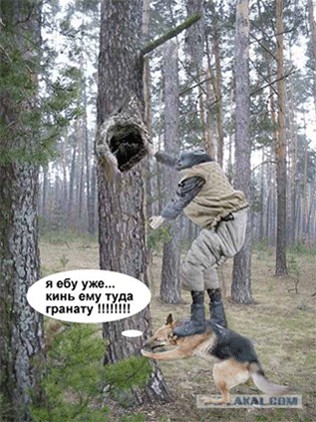Фотожаба: Охотник и его верный пес