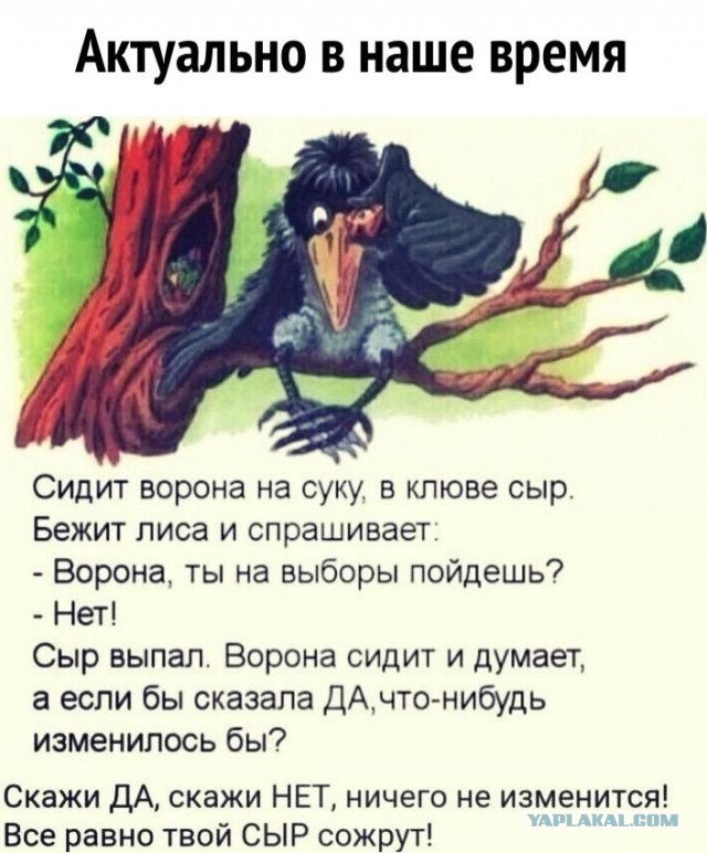 Стрелок из Ингушетии оказался племянником бывшего министра республики
