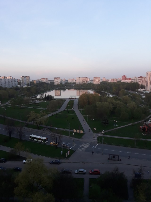 Минутка добрых новостей: неравнодушные москвичи построили лестницу для утят на Гольяновском пруду