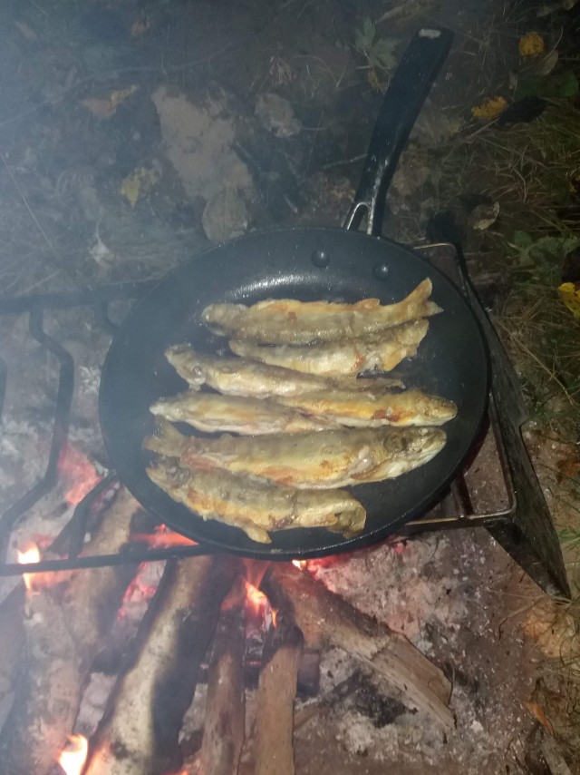 Немного рыбалки