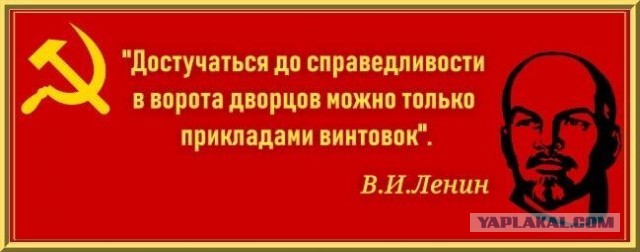 Родители начали залезать в долги, чтобы собрать детей в школу "Не хочу, чтобы за спиной шипели «нищета»".