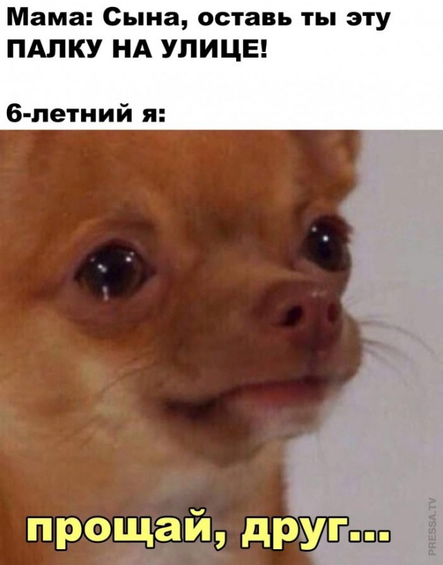 Немного картинок для настроения 11.09.20