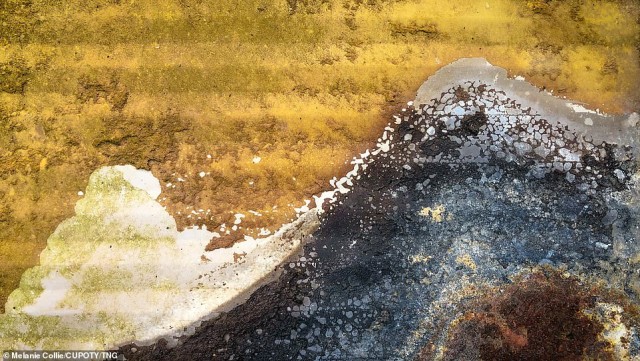 Лучше работы макросъемки Close-Up Photography Awards-2020