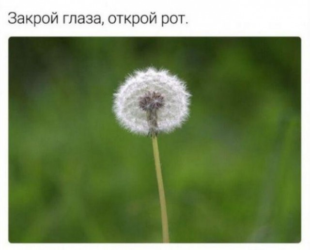 Картинки и мемы для настроения 024