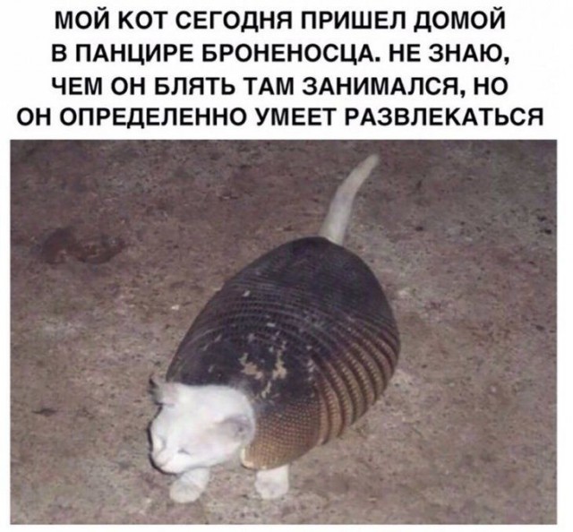 Бредзона 10.02.21
