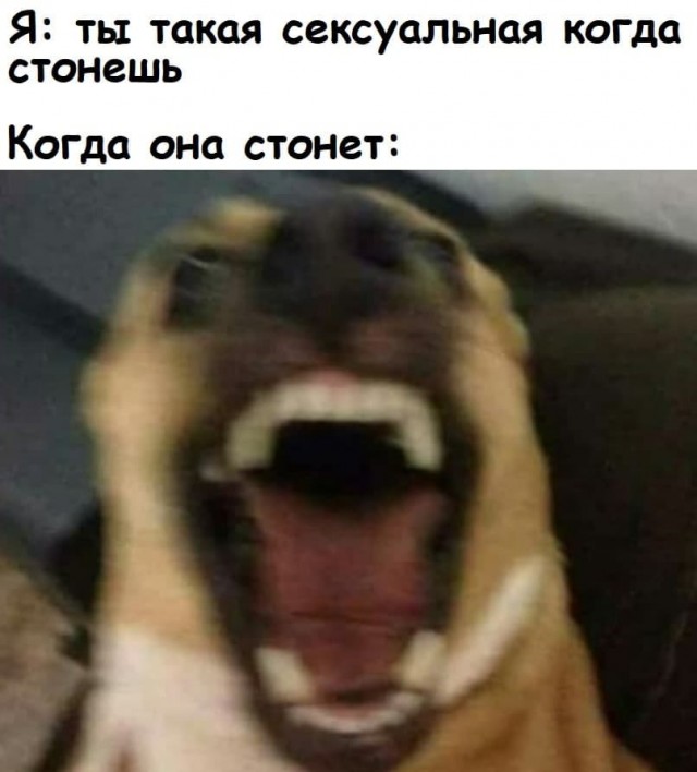 Мемы про секас