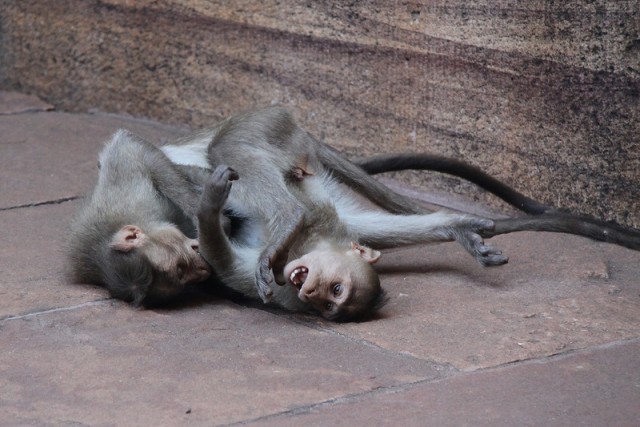 Битва в Гетто