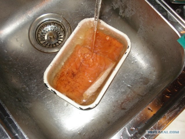 Все из рыбы!