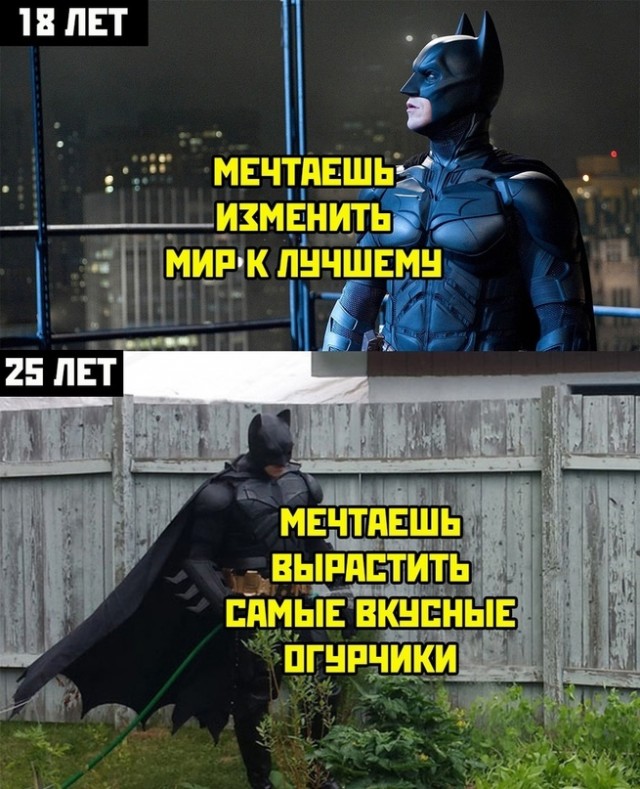 Весёлый полтишок 16.08