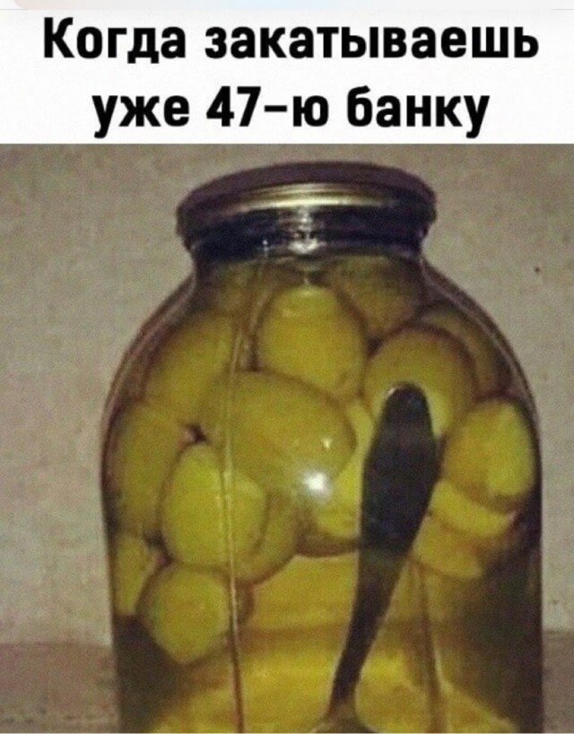 Бредзона 22.08.21