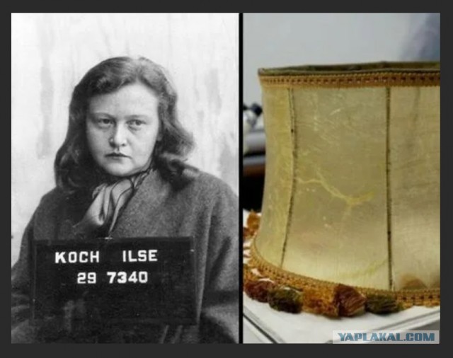 16 людей, которые сделали себе никудышную татуировку, но хорошие мастера всё исправили