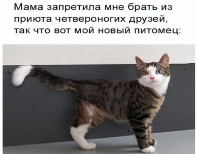 Бредзона 10.10.2021
