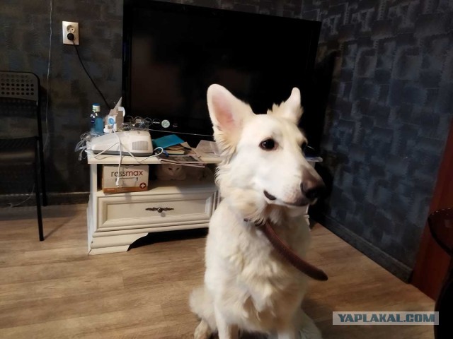 Вторник жеш!