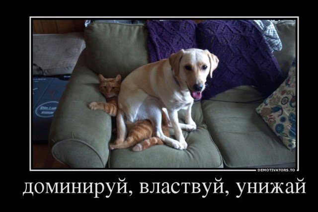 Ах ты еще и царапаешься? Получай!