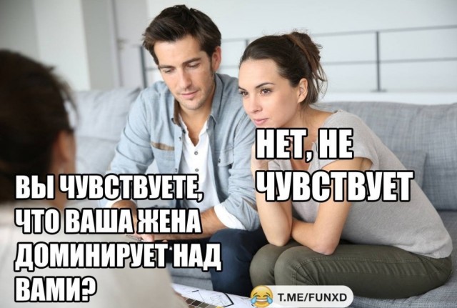 Что делать, если муж больше любит кошку?