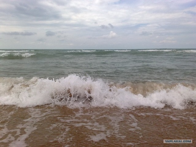 Пенза-Витязево-Пенза