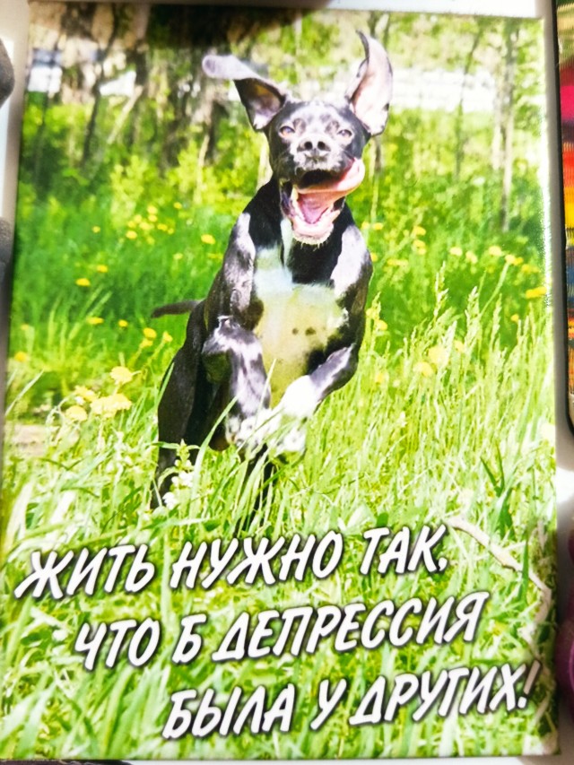 Магнитики на холодильнике. Какие у вас есть примечательные?