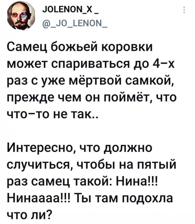Так себе картинки 14.07.22