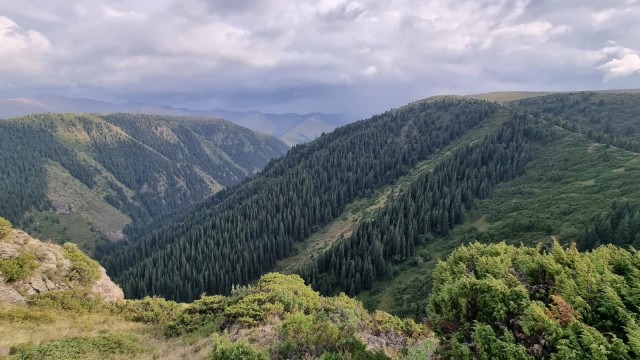 Кулинарная общалка