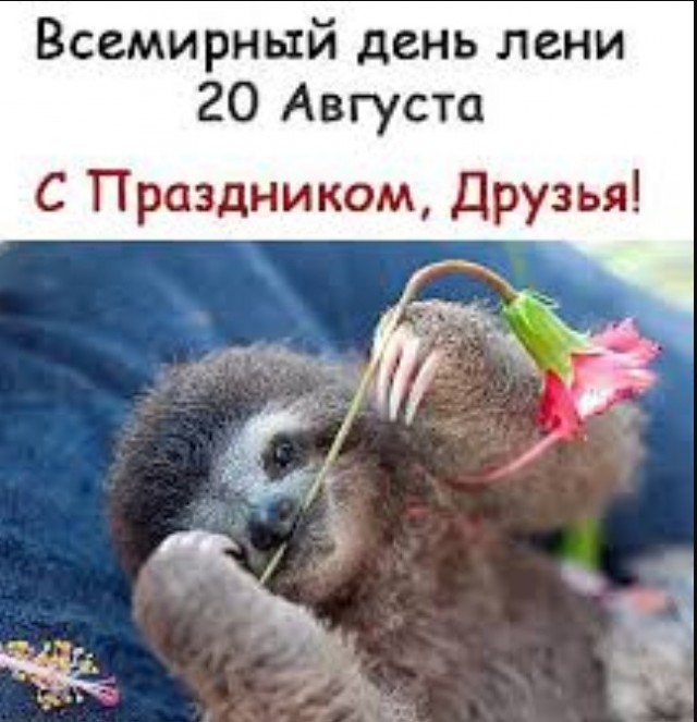 Женский взгляд работницы ЗАГСа на современные отношения