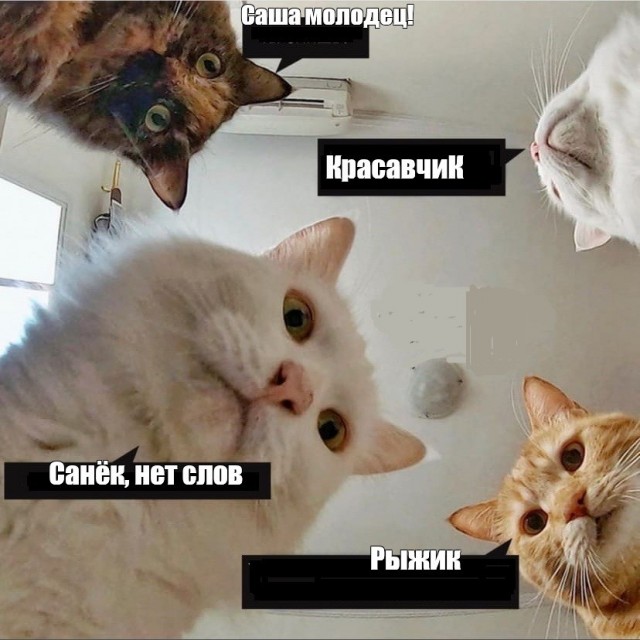 Обломал обочечника