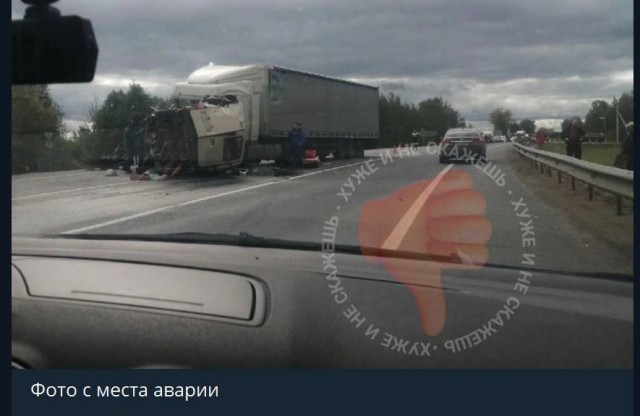 Пандемия съехавших крыш - разновидности болезни. Россия и мир. Часть 42.