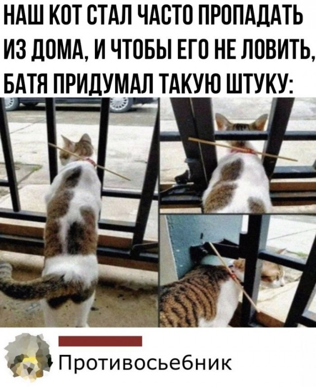 Забавные комментарии из социальных сетей (03.10.22)