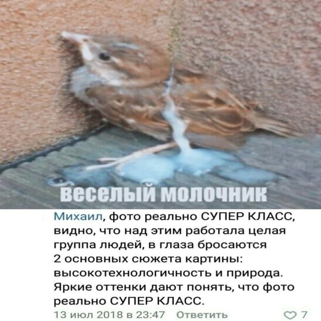 Картинки аморальные и всякие разные - 41