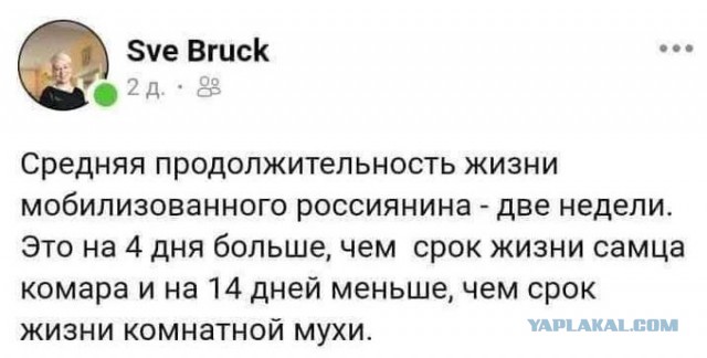 Мобилизация закончилась