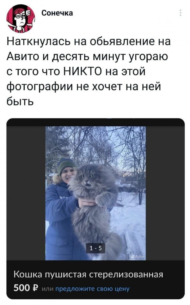 Местами суровая действительность (баяны)