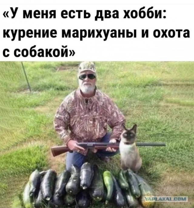 Трофей