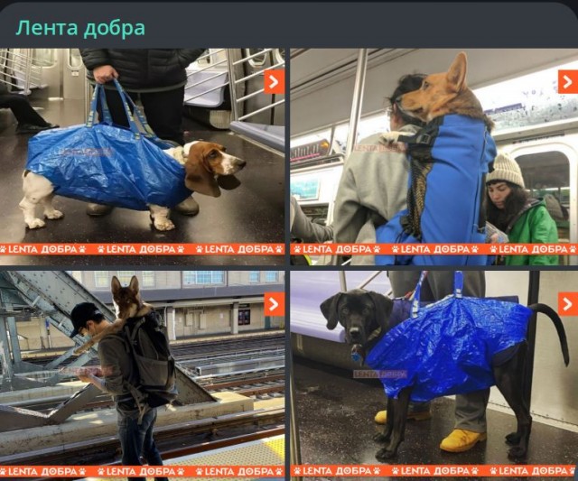 Победная поступь идиотизма по планете – том 9