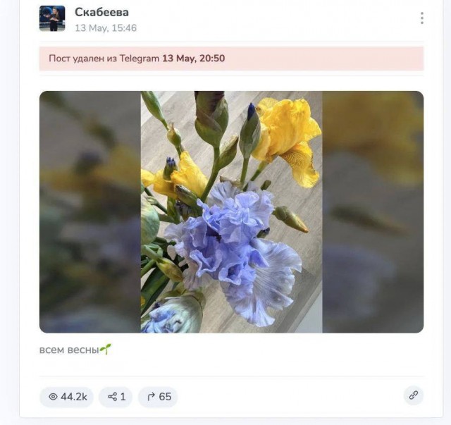 Скабеева опубликовала у себя в телеграм-канале фото сине-желтого букета. Потом срочно удалила