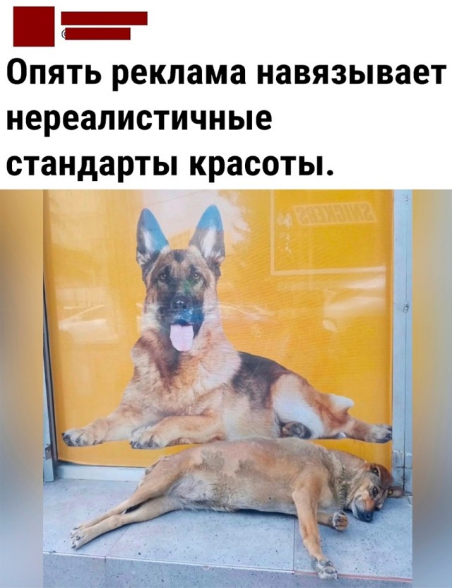 Так себе картинки 22.06.23