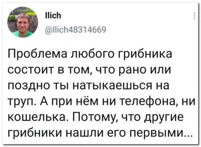 Так себе картинки 12.07.23