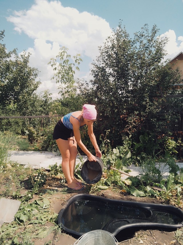 Дачные будни