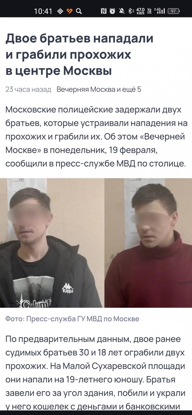 Полиция задержала братьев, грабивших прохожих в Москве