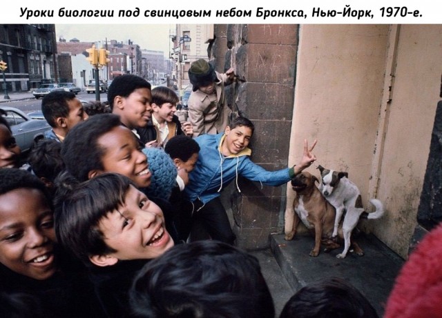 Небольшая подборка истрических фото (26.03)
