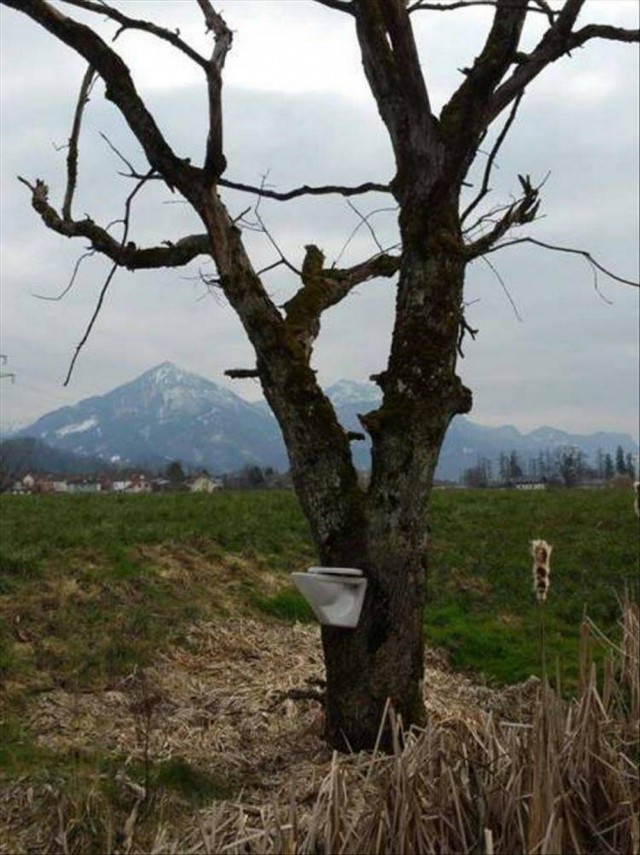 ФотоВинегрет