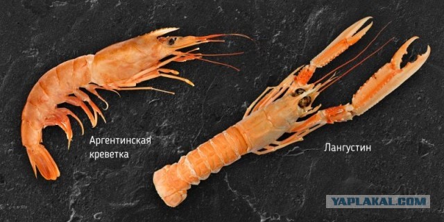 Креветки из Ленты