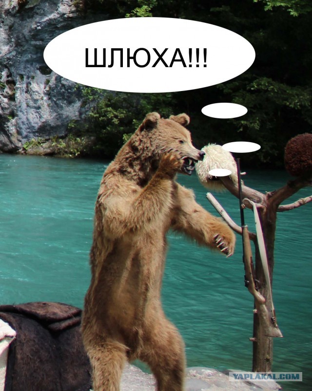 Сиськи на вооружении социальной инженерии