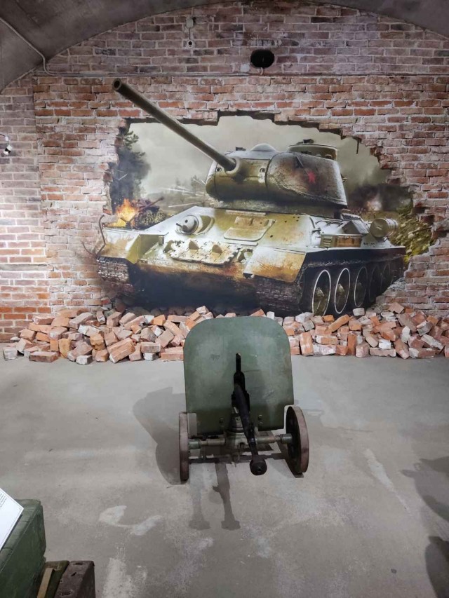 Карелия, я влюбился в тебя!